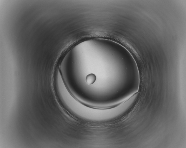 X0000113060677200908281135