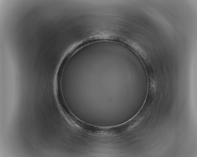 X0000113060678200908281135