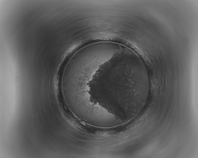 X0000113060679200908281135