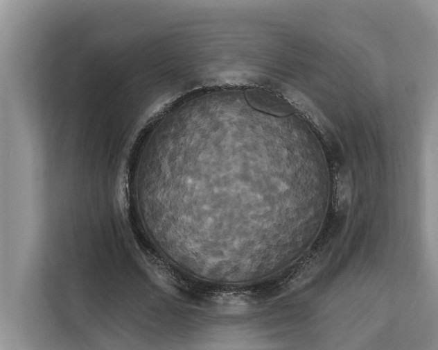 X0000113060680200908281135