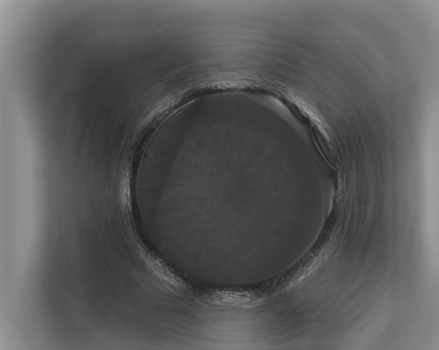 X0000113060681200908281135