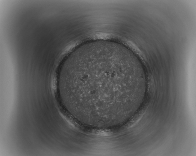 X0000113060683200908281135