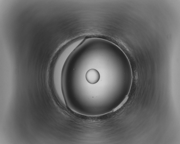 X0000113060684200908281135