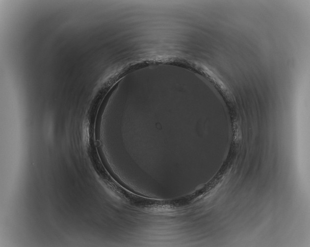 X0000113060685200908281135