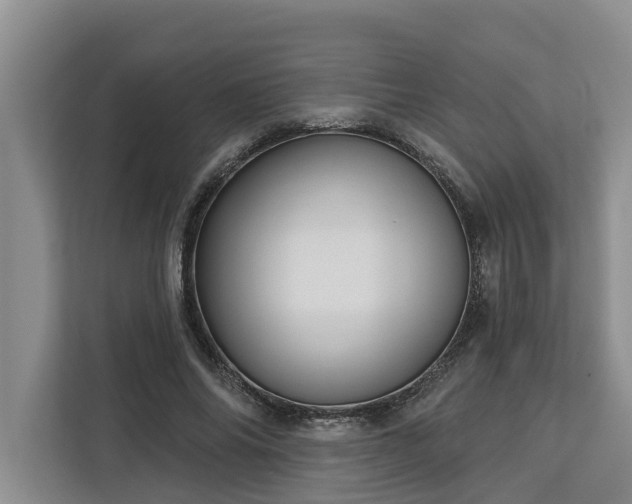 X0000113060686200908281134