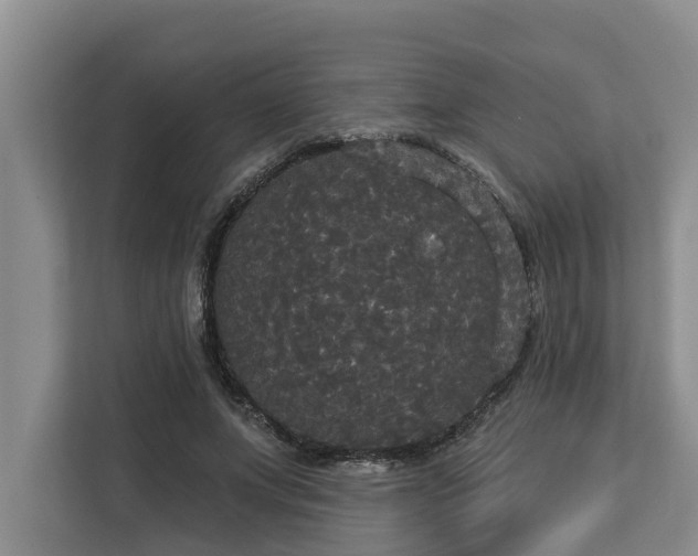 X0000113060687200908281134