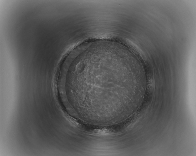 X0000113060688200908281134