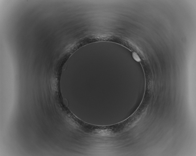 X0000113060689200908281134