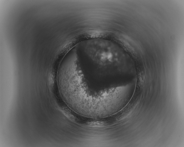 X0000113060691200908281134