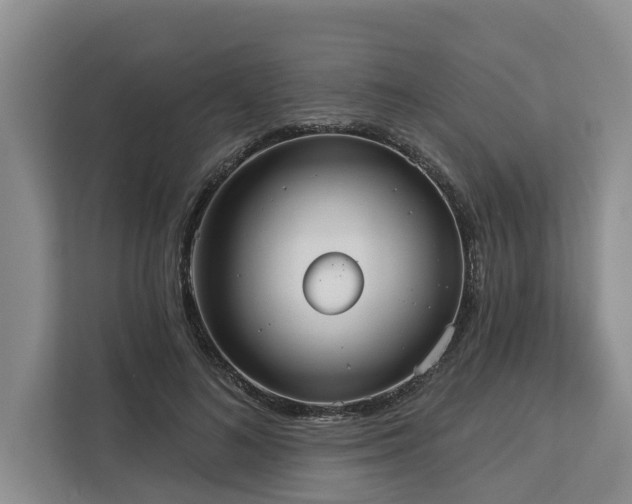 X0000113060692200908281134