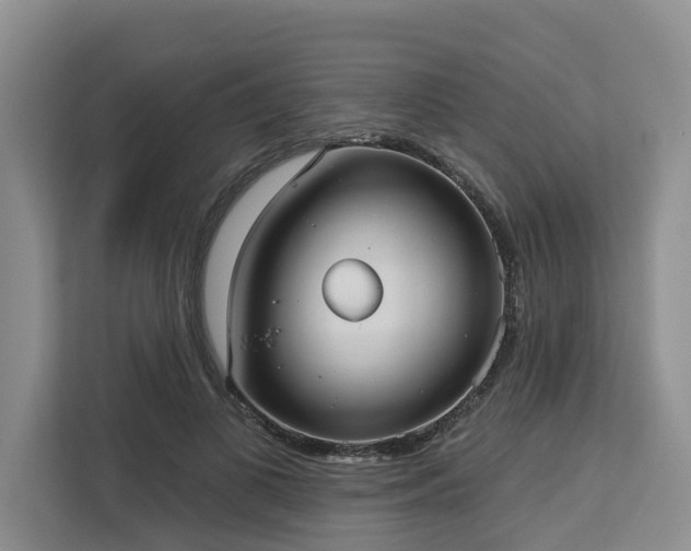 X0000113060693200908281134