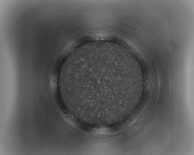 X0000113060695200908281134