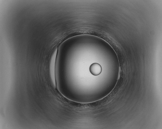 X0000113060696200908281134