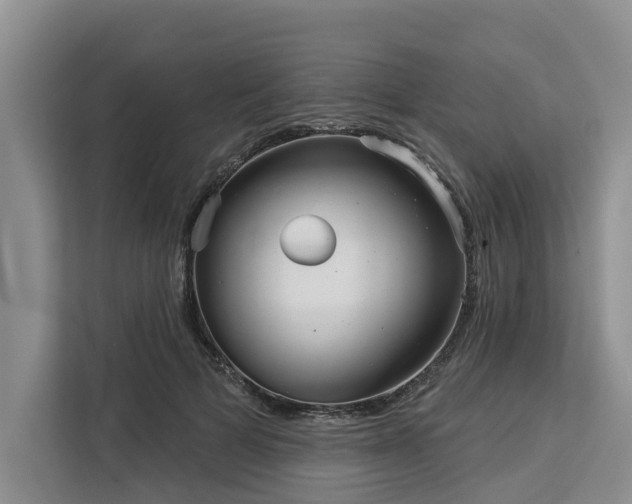 X0000113060697200908281134