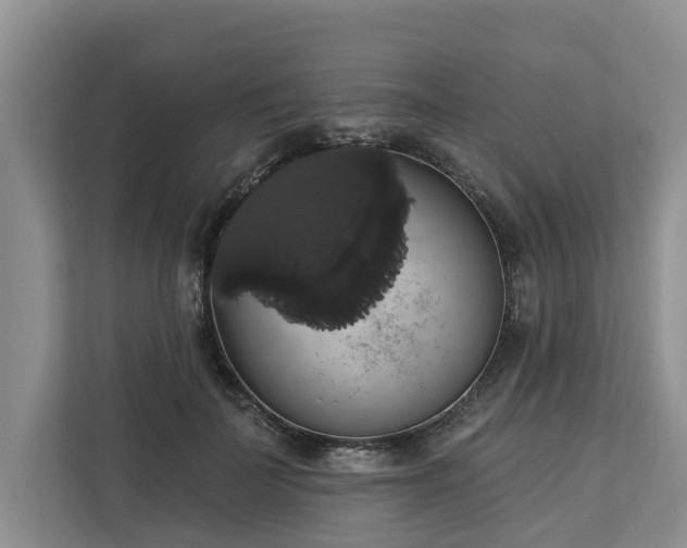 X0000113060699200908281134