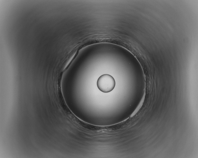 X0000113060700200908281134