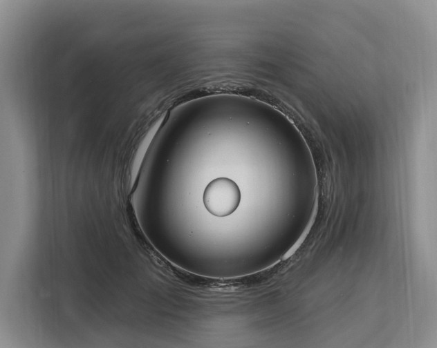 X0000113060701200908281134