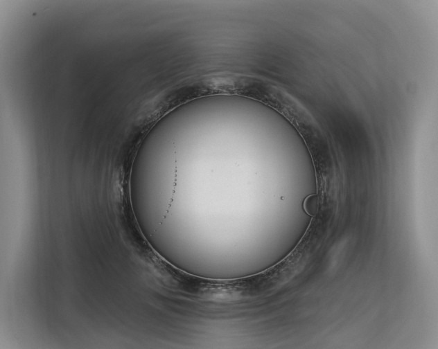 X0000113060702200908281134