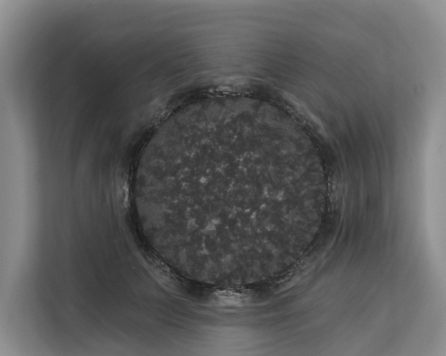 X0000113060703200908281134