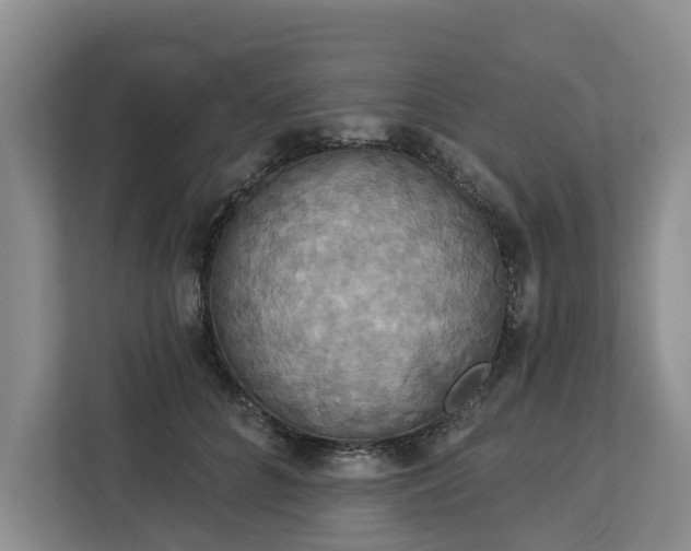 X0000113060704200908281134
