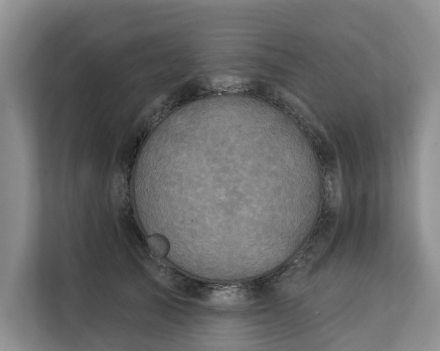 X0000113060705200908281134