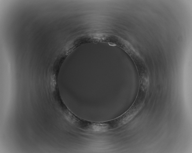 X0000113060707200908281134