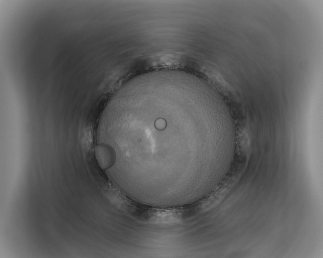 X0000113060709200908281134