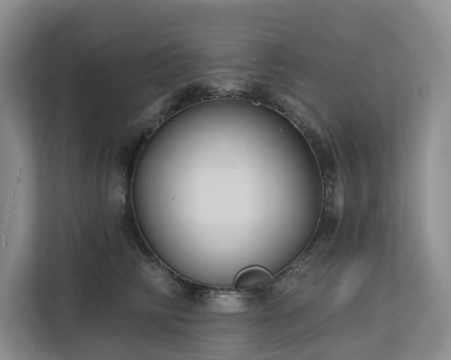 X0000113060710200908281134