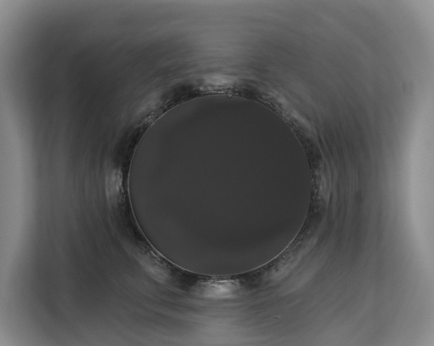 X0000113060711200908281134