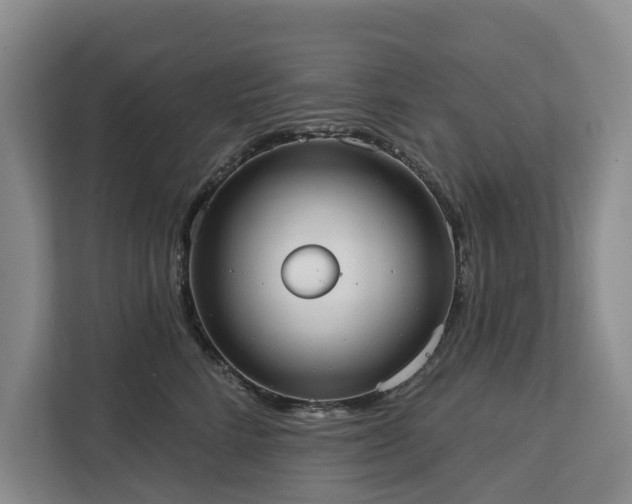 X0000113060712200908281134