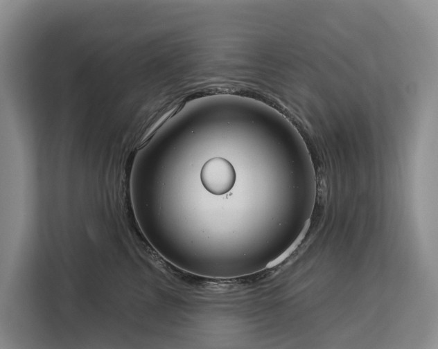 X0000113060713200908281134