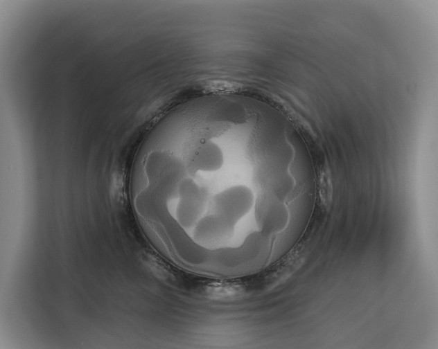 X0000113060714200908281134