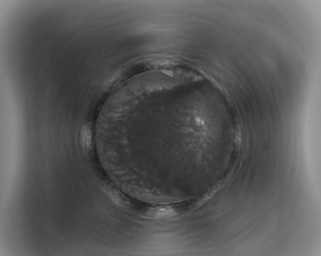 X0000113060715200908281134