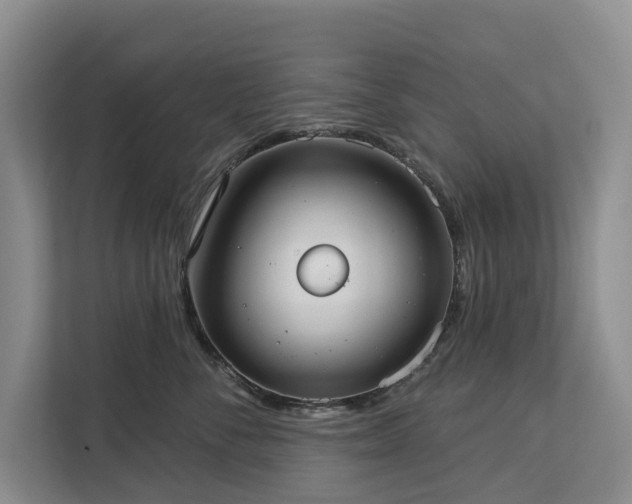 X0000113060716200908281134