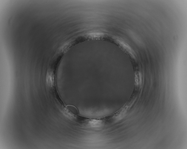 X0000113060718200908281134