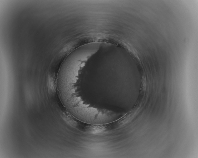 X0000113060719200908281134