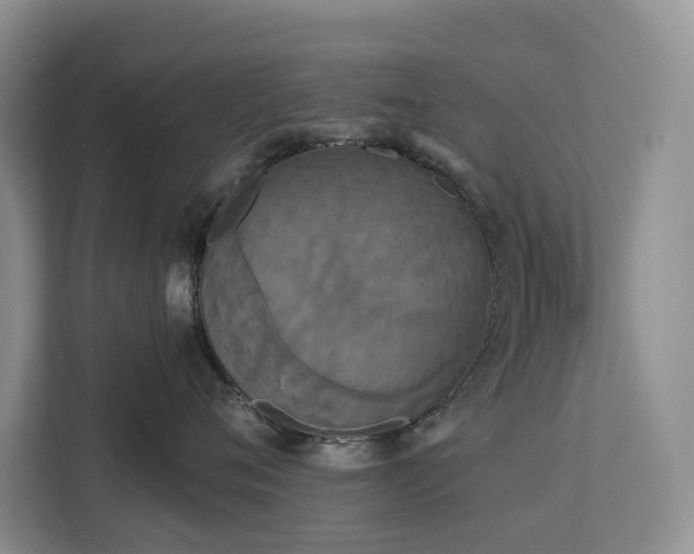 X0000113060720200908281134