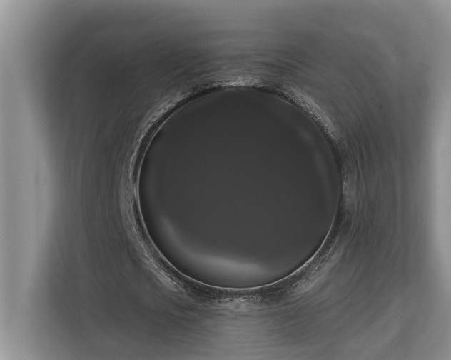 X0000113060721200908281133