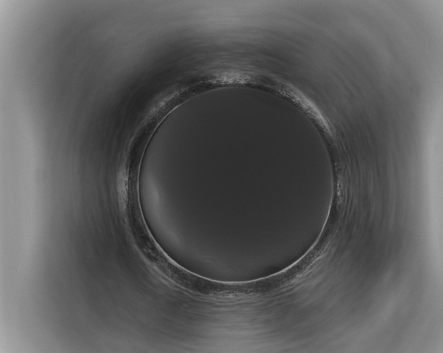 X0000113060722200908281133