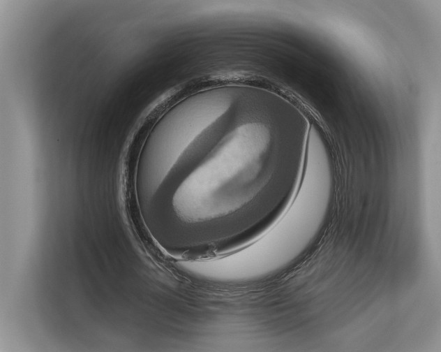 X0000113060724200908281133