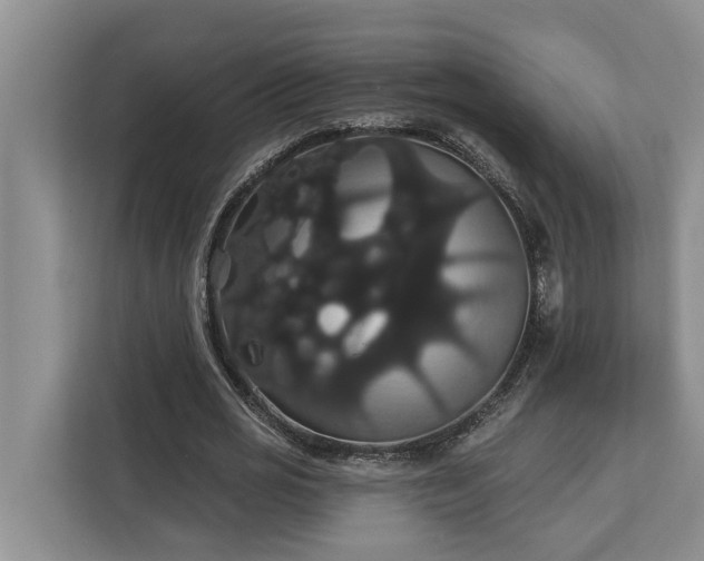 X0000113060725200908281133