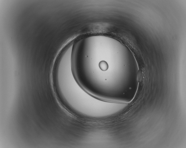 X0000113060726200908281133