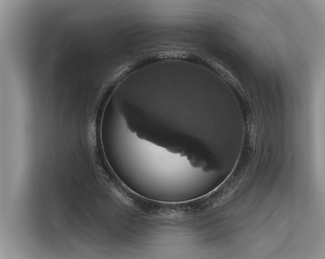 X0000113060729200908281134