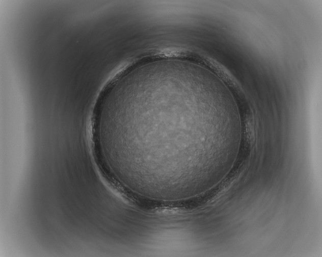 X0000113060730200908281134