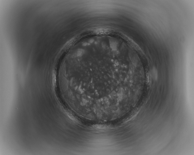 X0000113060733200908281134
