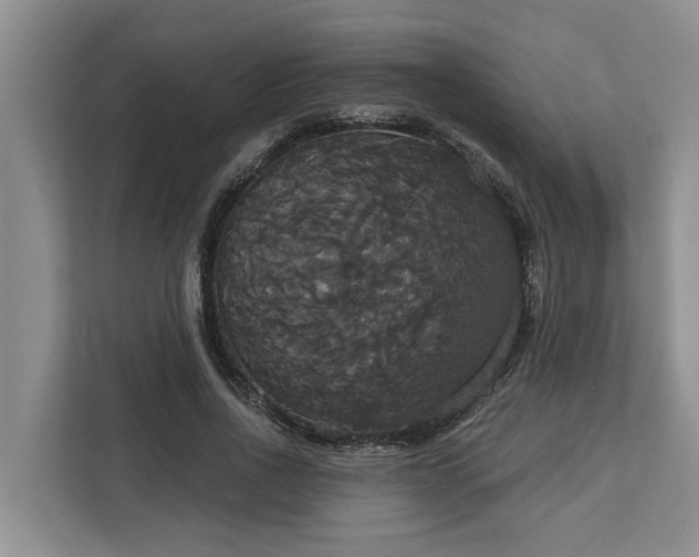 X0000113060734200908281134