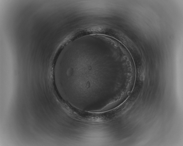 X0000113060735200908281134