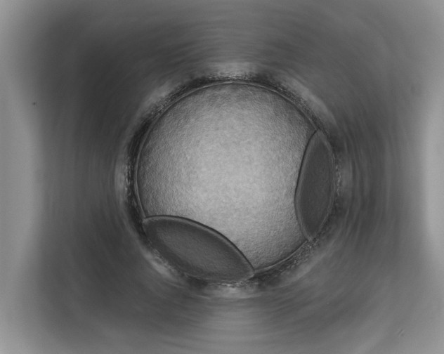 X0000113060736200908281134