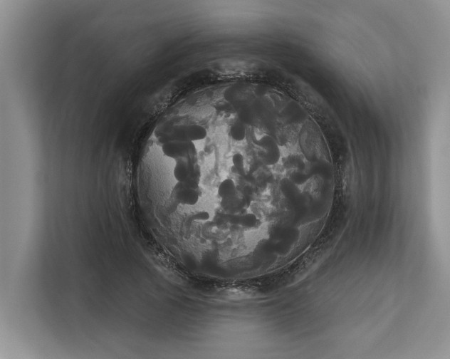 X0000113060737200908281134