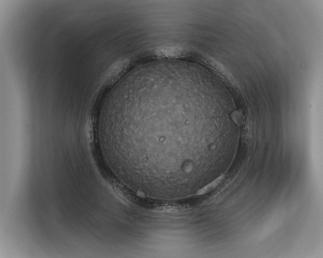 X0000113060738200908281134